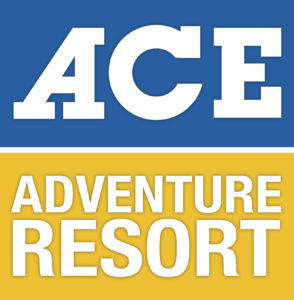 ace-logo-vert