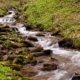 Image of a rushing and pristine stream from the headwaters of the Mon National Forest.