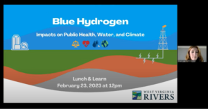 blue hydrogen screenshot