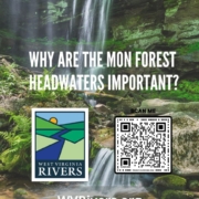 Image of an ad for a survey about the importance of the Mon. Forest Headwaters. There is an image of a waterfall and a lush green landscape in the background with the text "Why are the Mon. Forest Headwaters important." There is a QR Code and WV Rivers Logo on the ad.