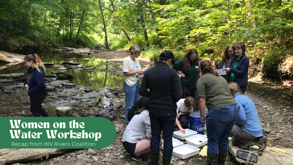 Image of high school and college students learning from environmental science professionals at the 2023 Women on the Water Workshop.