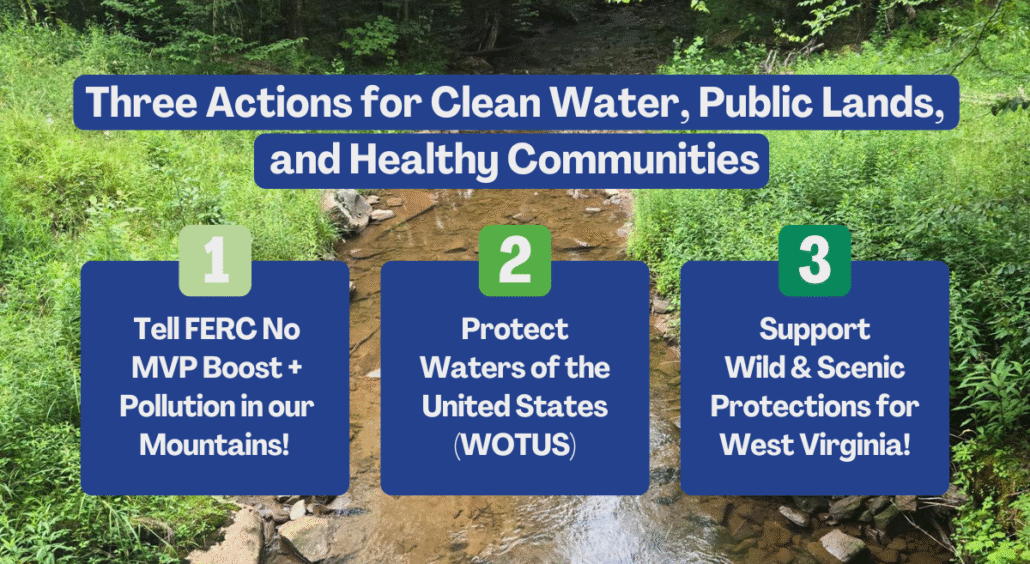 Actions You Can Take