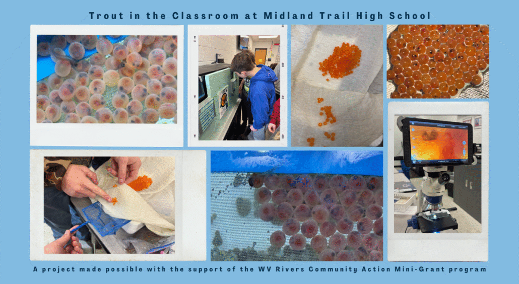 Trout in the Classroom