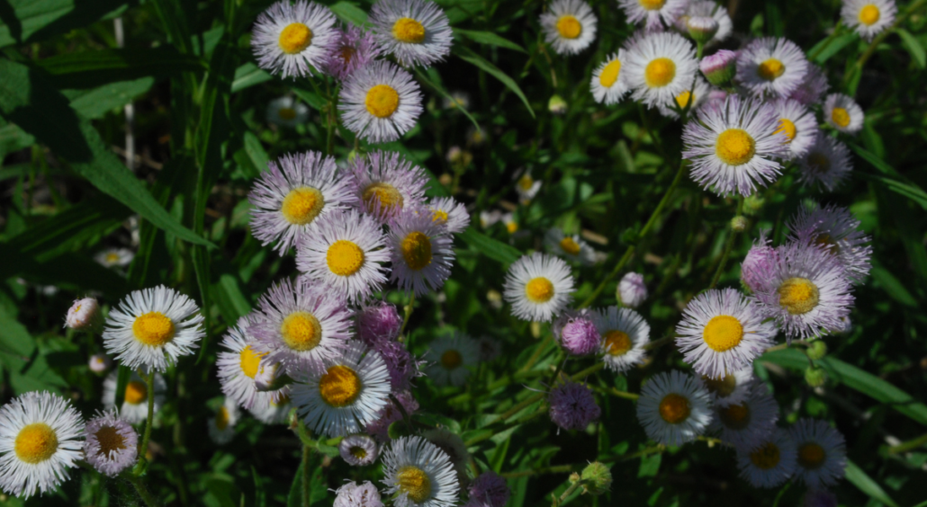 Every Action Graphics (2)