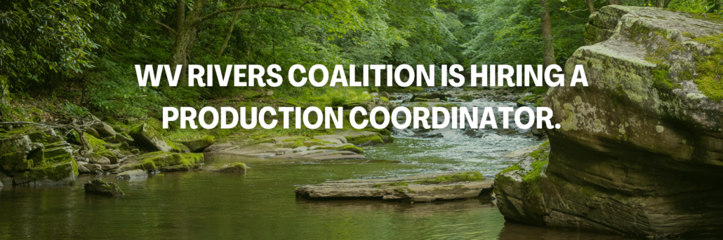 Production Coordinator