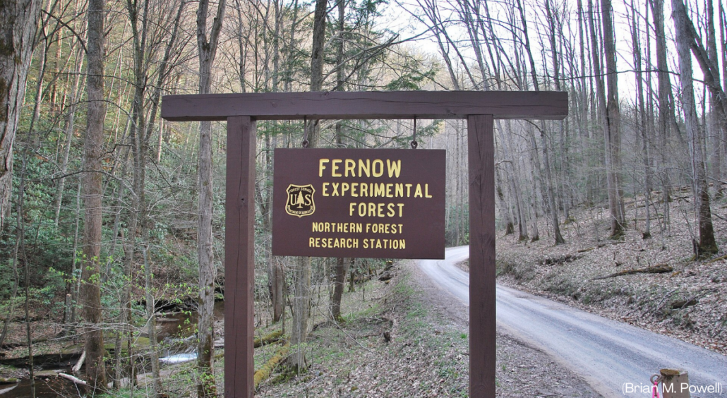Fernow Experimental Forest