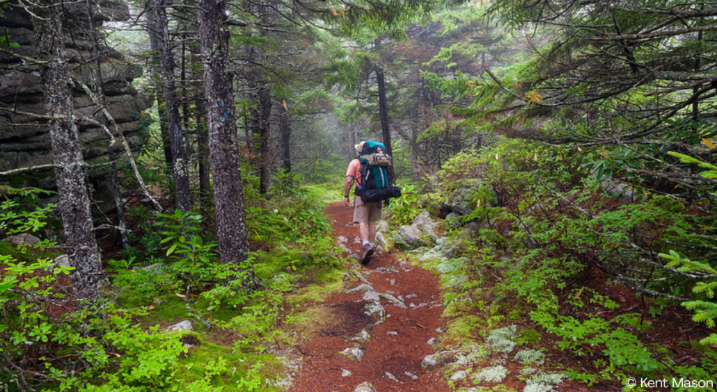 Summer on our Public Lands