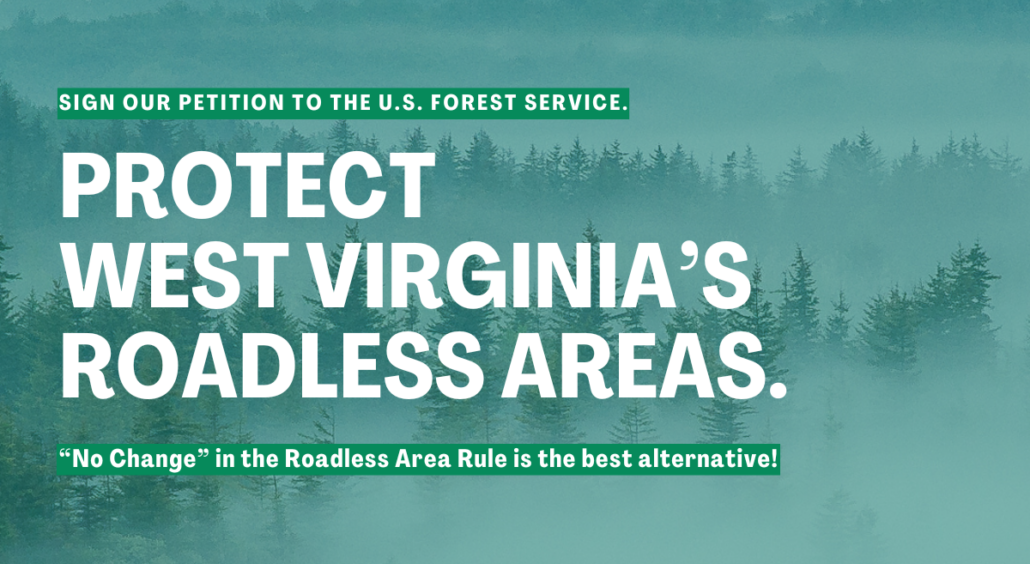 AA-Draft EIS for Roadless Rule (2)