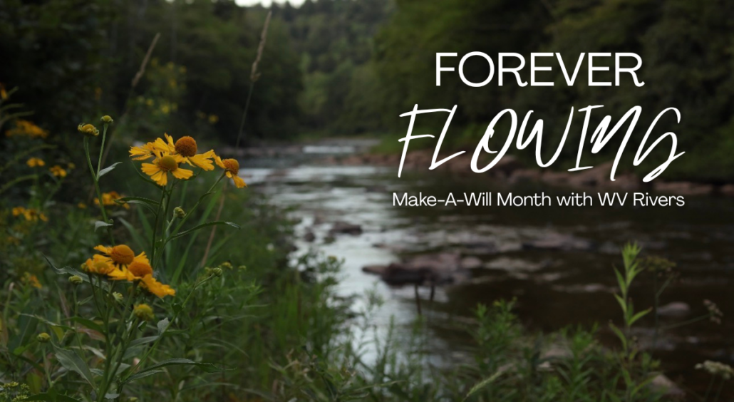 Make-A-Will Month_2
